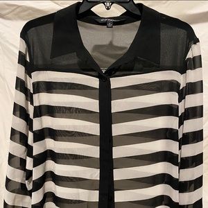 Sheer button up long sleeve blouse